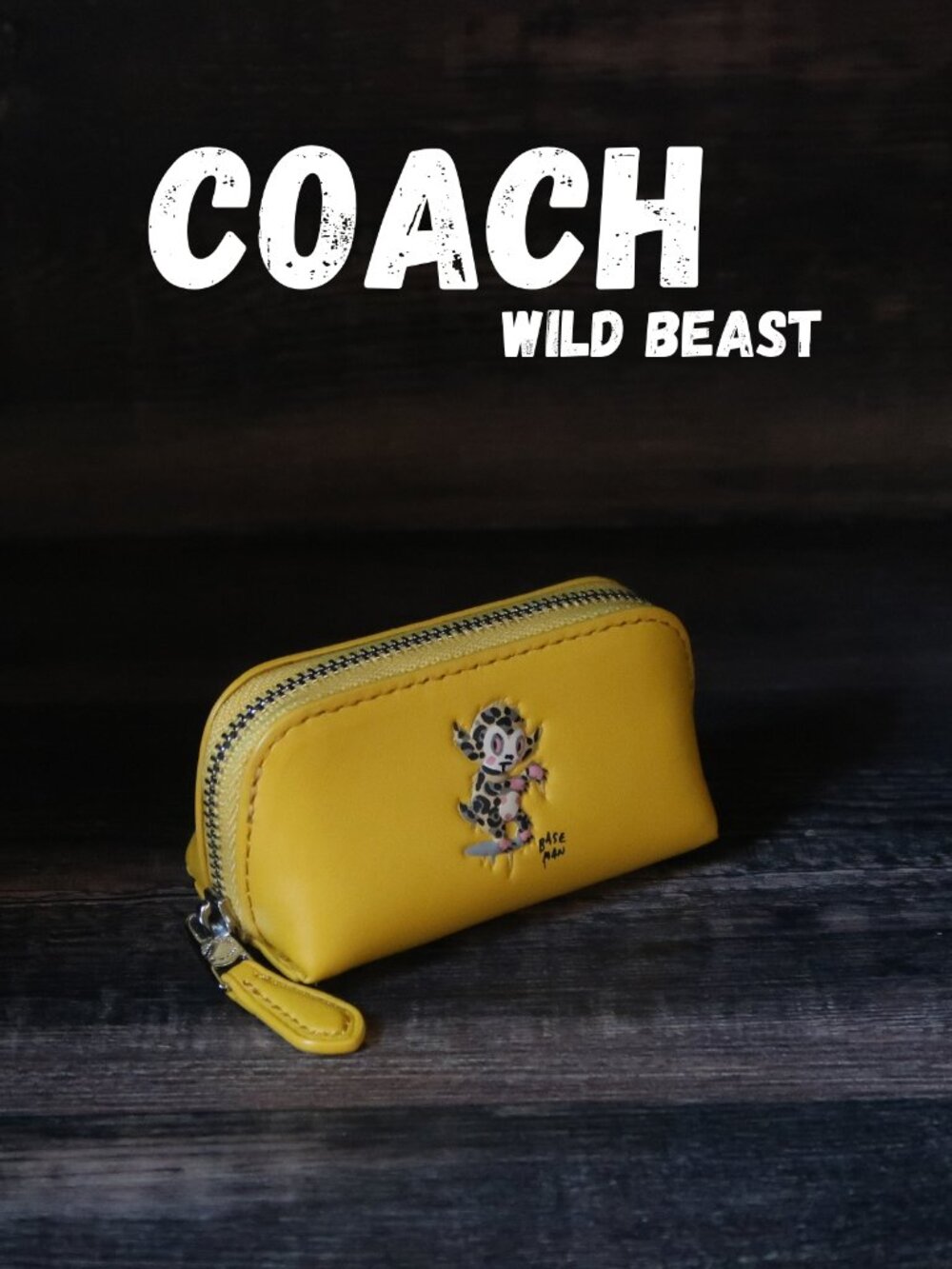 RARE, Vintage | Coach | Gary Baseman Collection | designer mini | NEW, Excellent